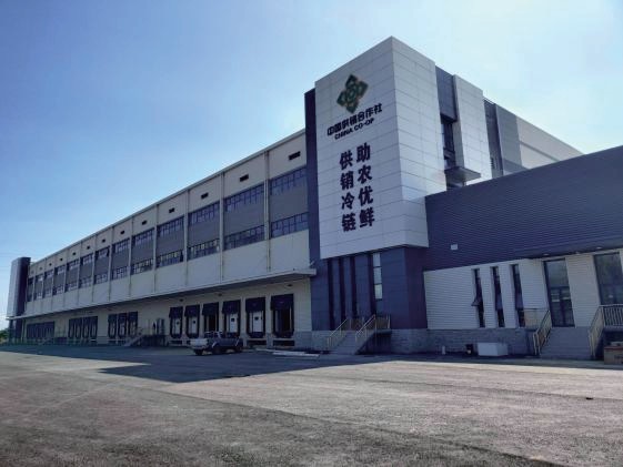 广东供销台山天业冷链项目制冷工程 